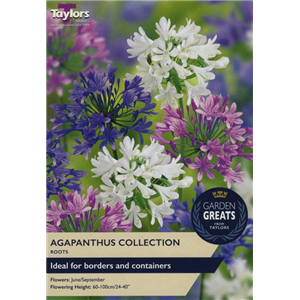 Garden Greats Agapanthus Collection